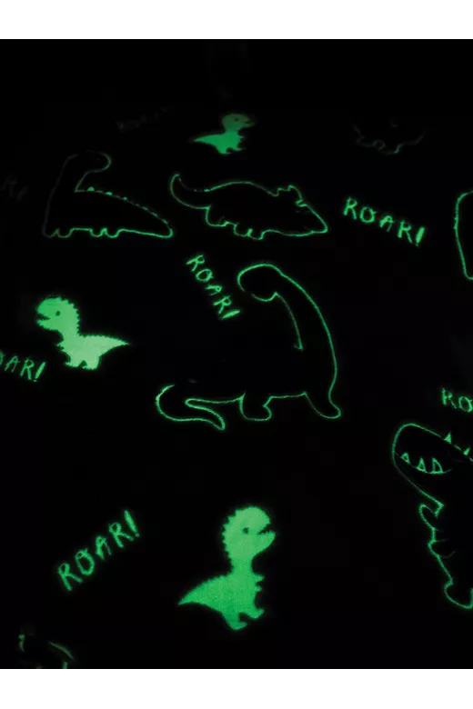 Κουβερτα Ημιδιπλη Luminous 160X220 RAPTORS