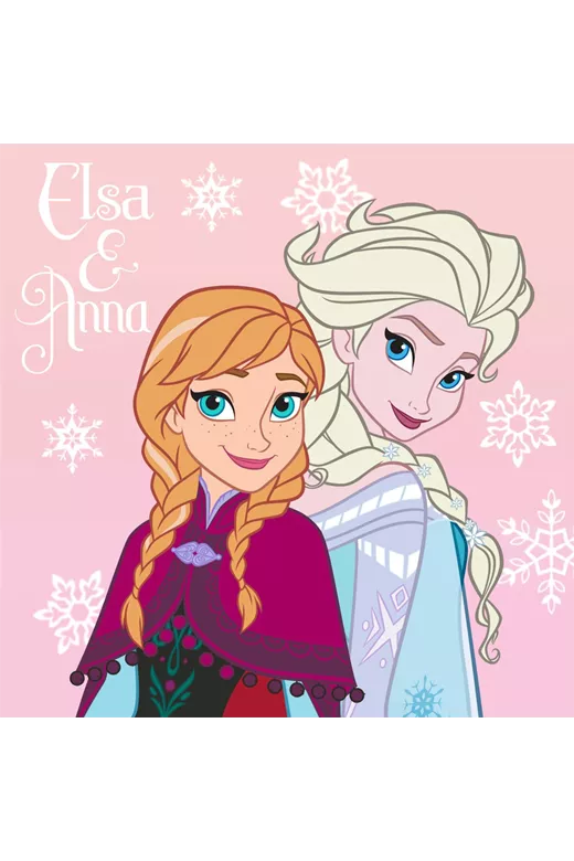 ΛΑΒΕΤΕΣ DISNEY DISNEY FROZEN 02 30Χ30 Digital Print