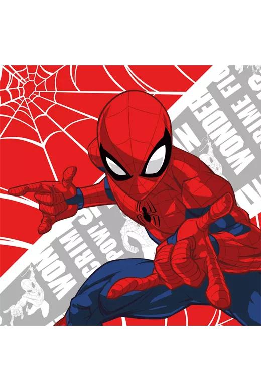 ΛΑΒΕΤΕΣ DISNEY DISNEY SPIDERMAN 01 30Χ30 Digital Print