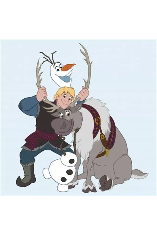 ΛΑΒΕΤΕΣ DISNEY FROZEN 130 30Χ30 Digital Print Cotton 100%