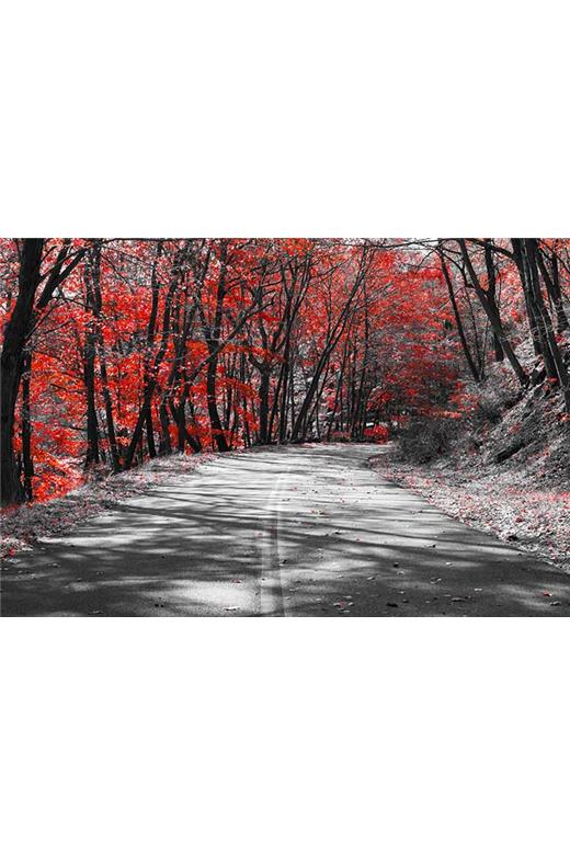 Ρόλερ Digital Print 265-DR