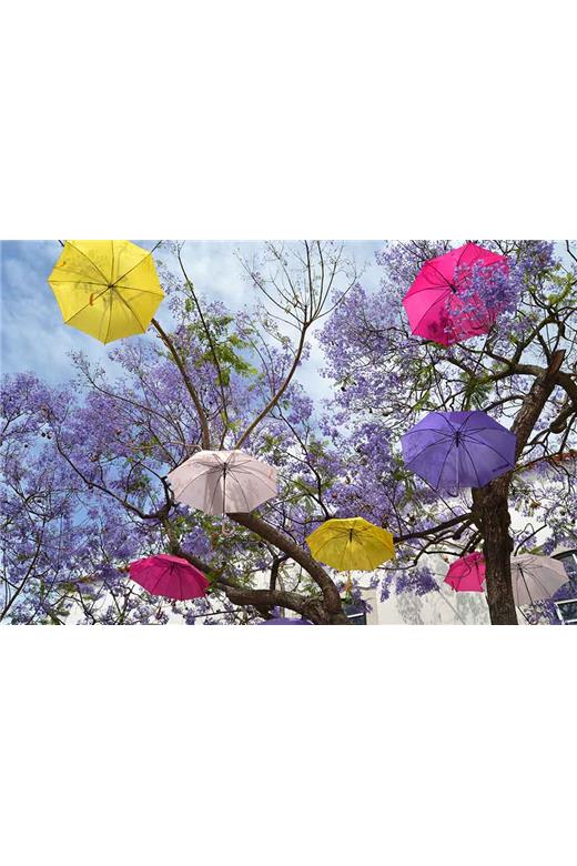 Ρόλερ Digital Print 287-DR