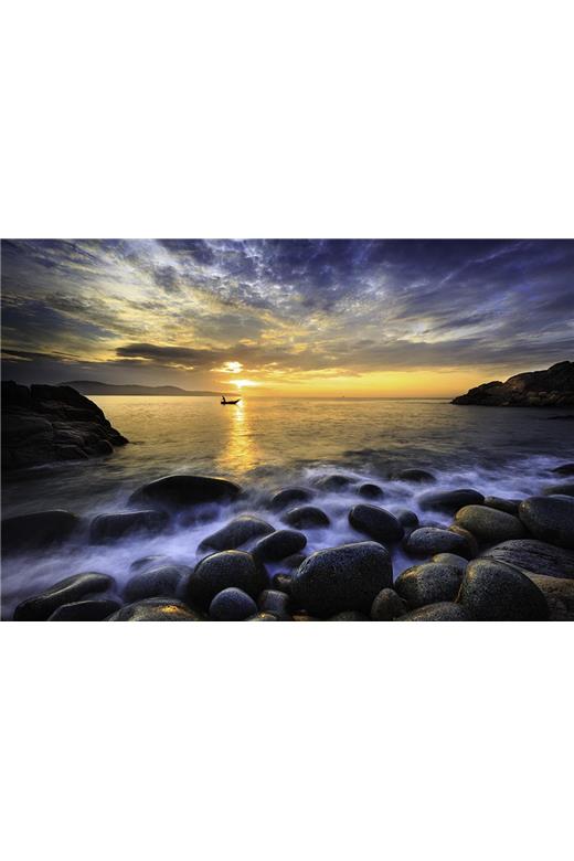 Ρόλερ Digital Print 338-CR