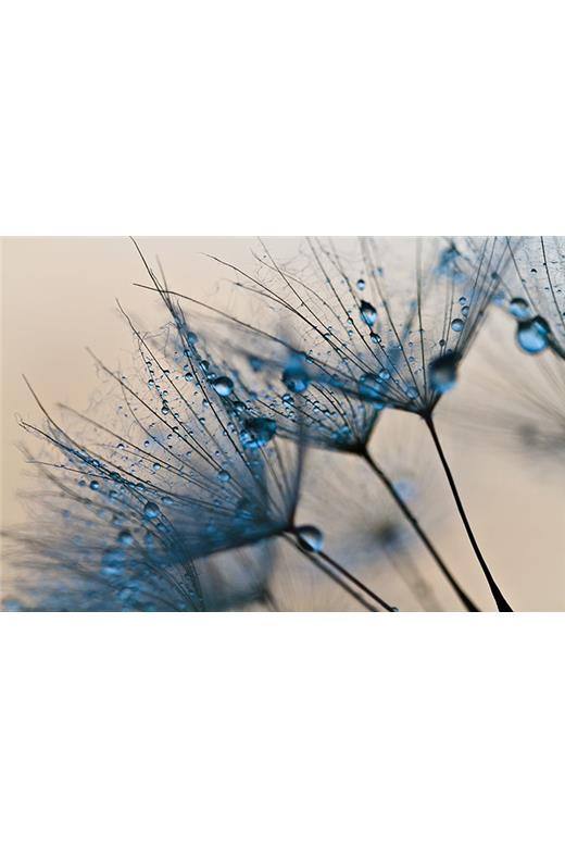Ρόλερ Digital Print 396-DR