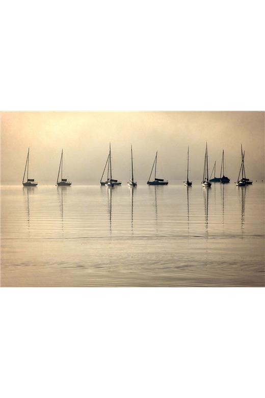 Ρόλερ Digital Print 831-CR
