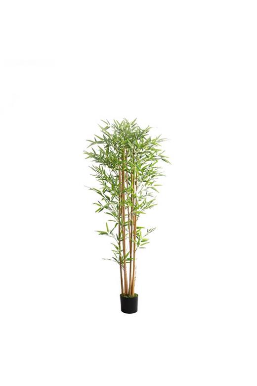 BAMBOO  NP0075_180 ΥΨΟΣ 180cm NewPlan