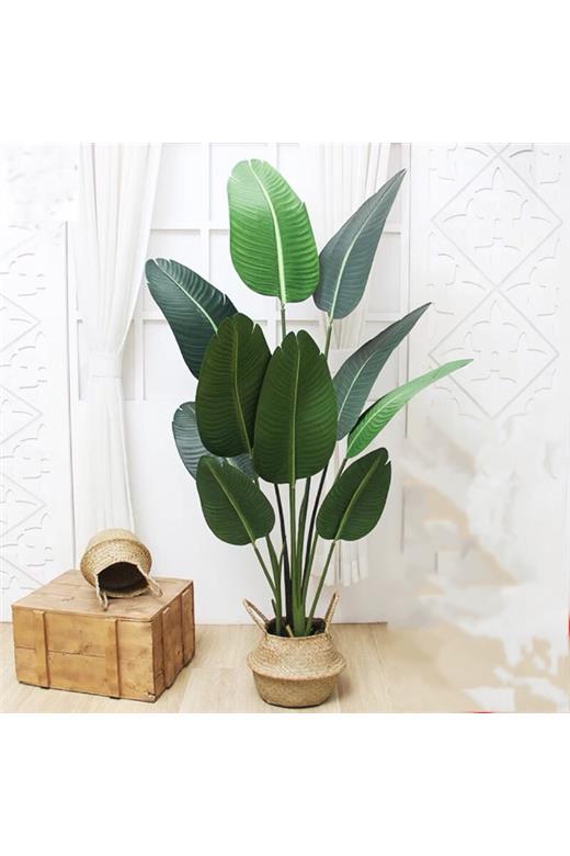 BANANA TREE NP1411_160  ΥΨΟΣ 160cm NewPlan
