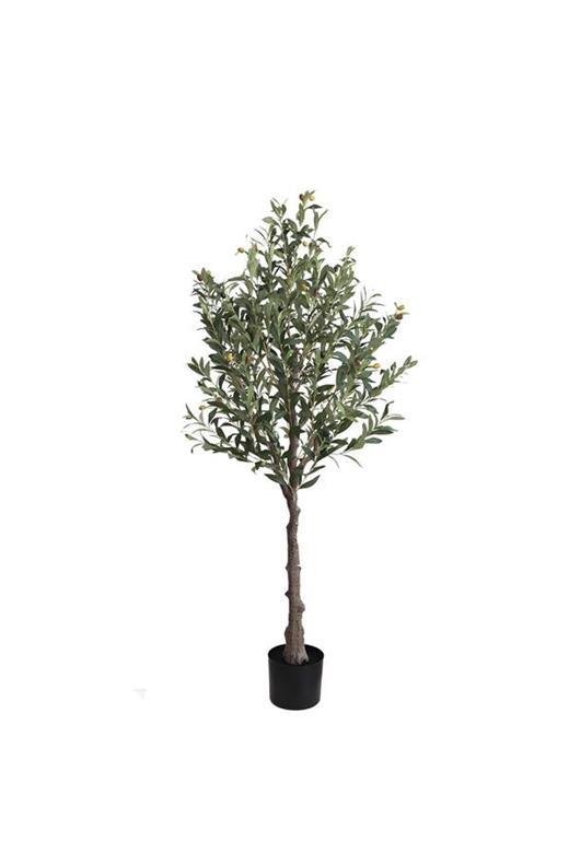 OLIVE TREE NP439_150  ΥΨΟΣ 150cm NewPlan