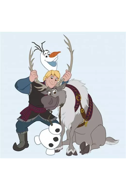 ΛΑΒΕΤΕΣ DISNEY FROZEN 130 30Χ30 Digital Print Cotton 100%