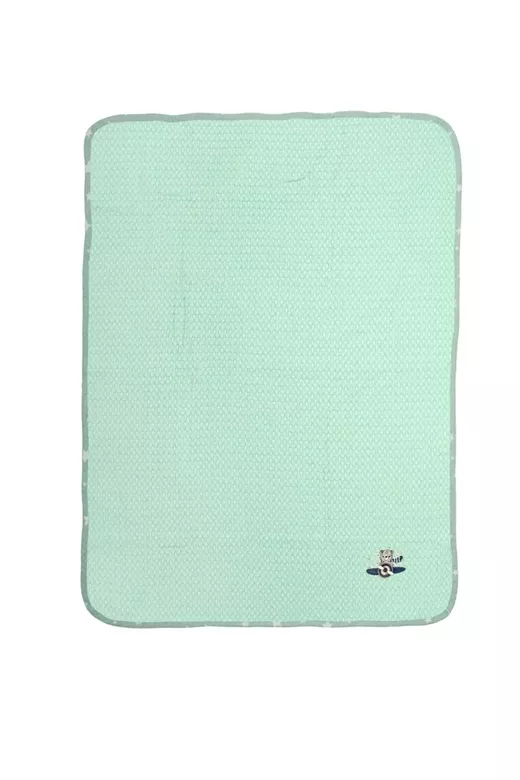 Κουβέρτα Πικέ Με Κέντημα bebe Aviator 186 80X110 Mint 100% Cotton