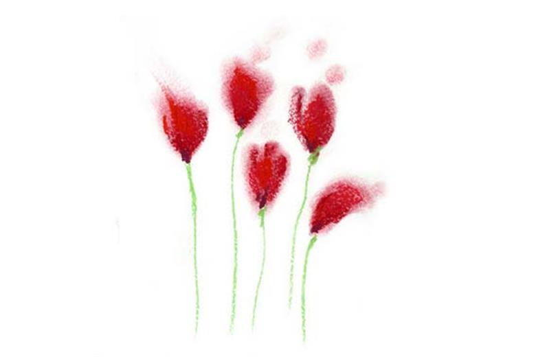 Ρόλερ Digital Print E193
