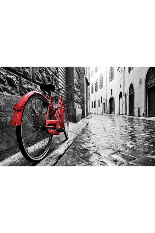 Ρόλερ Digital Print E500
