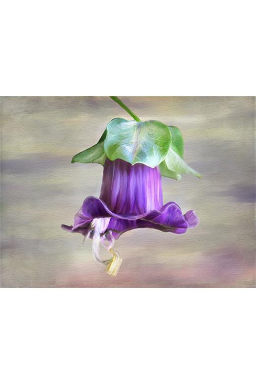 Ρόλερ Digital Print 1073-CR