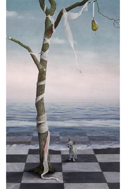 Ρόλερ Digital Print 454-SR